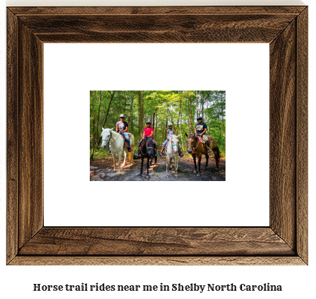 horse trail rides near me in Shelby, North Carolina